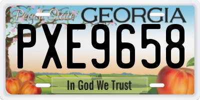 GA license plate PXE9658