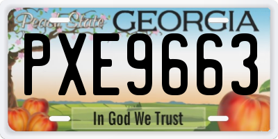 GA license plate PXE9663