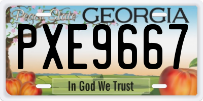 GA license plate PXE9667