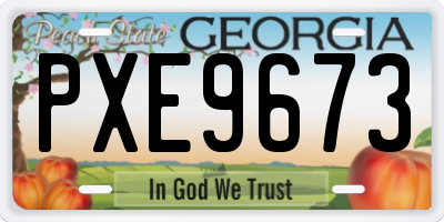 GA license plate PXE9673