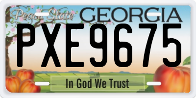 GA license plate PXE9675