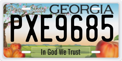 GA license plate PXE9685