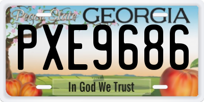 GA license plate PXE9686