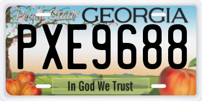 GA license plate PXE9688