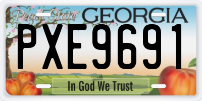 GA license plate PXE9691