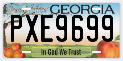 GA license plate PXE9699