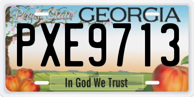 GA license plate PXE9713