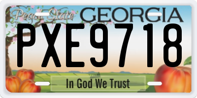 GA license plate PXE9718