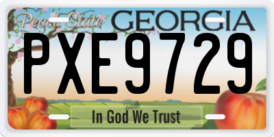 GA license plate PXE9729