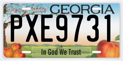 GA license plate PXE9731