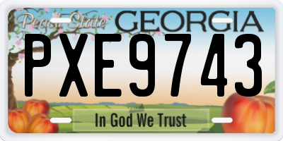 GA license plate PXE9743
