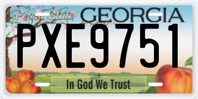 GA license plate PXE9751