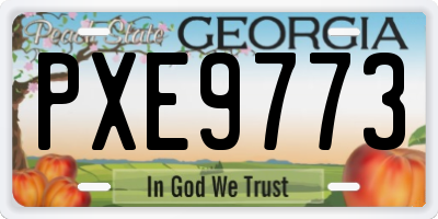 GA license plate PXE9773