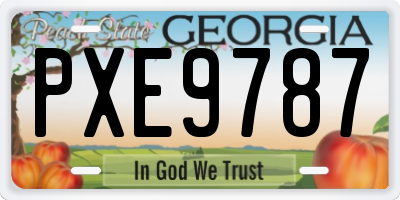GA license plate PXE9787