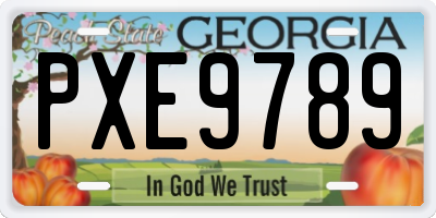 GA license plate PXE9789