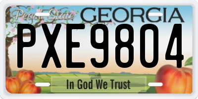 GA license plate PXE9804