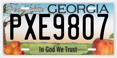 GA license plate PXE9807