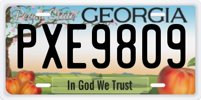 GA license plate PXE9809