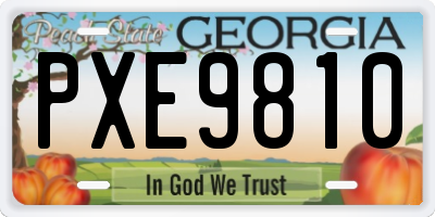 GA license plate PXE9810
