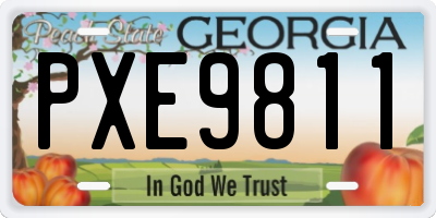 GA license plate PXE9811