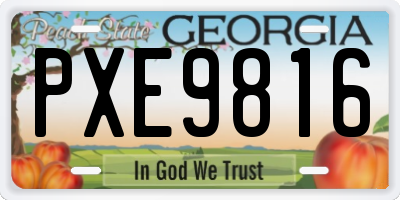 GA license plate PXE9816