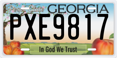 GA license plate PXE9817