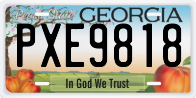 GA license plate PXE9818