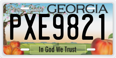 GA license plate PXE9821