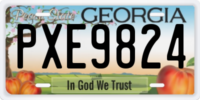 GA license plate PXE9824