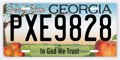 GA license plate PXE9828