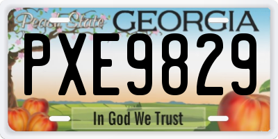 GA license plate PXE9829