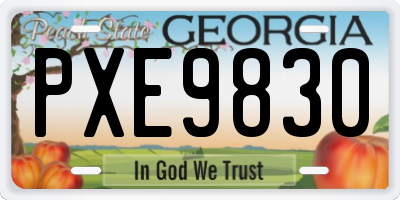 GA license plate PXE9830