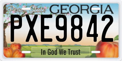 GA license plate PXE9842