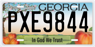 GA license plate PXE9844