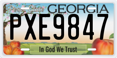 GA license plate PXE9847
