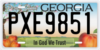 GA license plate PXE9851