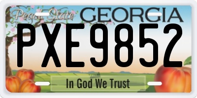 GA license plate PXE9852