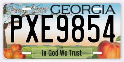 GA license plate PXE9854