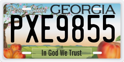GA license plate PXE9855