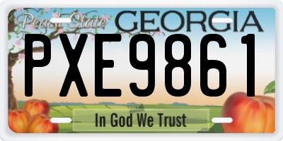 GA license plate PXE9861