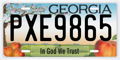 GA license plate PXE9865