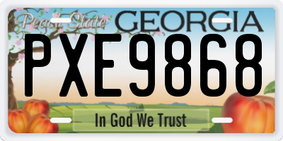 GA license plate PXE9868