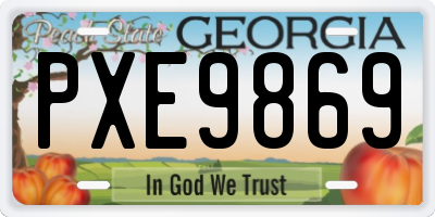 GA license plate PXE9869