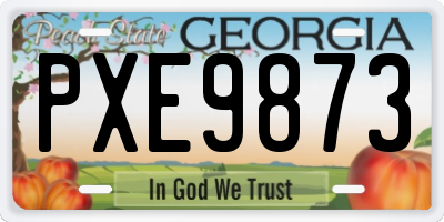 GA license plate PXE9873