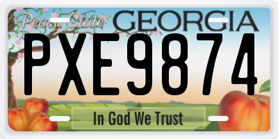 GA license plate PXE9874