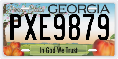 GA license plate PXE9879
