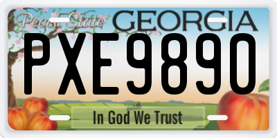 GA license plate PXE9890