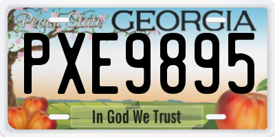 GA license plate PXE9895