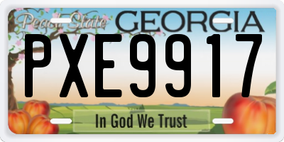 GA license plate PXE9917