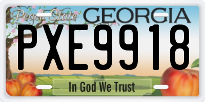 GA license plate PXE9918